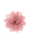 Produktbild 4 von 4, Invisibobble MYCLAW Haarschmuck