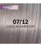 Image du produit 3 sur 5, Wella Professionals Shinefinity Coloration cheveux