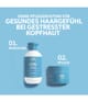 Wella INVIGO Balance Schampo 1000 ml 4064666585260 visual-shot_se