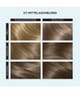 Clairol Color Studio Hårfärg 1 st 4064666593463 pack-shot_se