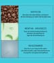 Productafbeelding 4 van 5, Nioxin System 3 Leave-in-Treatment