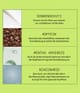 Produktbillede 4 af 5, Nioxin System 2 Leave-in-behandling