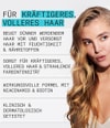 Produktbillede 4 af 6, Nioxin System 3 Hårplejesæt