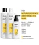 Produktbild 2 von 6, Nioxin System 1 Haarpflegeset