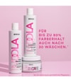 Image du produit 2 sur 2, INDOLA Color Soin capillaire