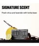 Image du produit 4 sur 6, STMNT GROOMING GOODS Hair & Body Cleansing Bar Shampoing solide