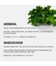 Produktbild 5 von 5, Schwarzkopf Professional BC Bonacure Scalp Soothing Haarserum