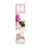 Produktbild 3 von 3, ipuro Essentials Raumduft