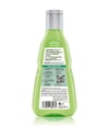Zdjęcie produktu 2 z 5, GUHL Freshness & Lightness Szampon do włosów