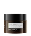 Produktbild 1 von 2, Biodroga PHYTO CLEANSING Gesichtsmaske