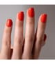 Image du produit 4 sur 4, Miss Sophie Press On Nails Faux ongles