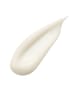 Produktbild 2 von 4, Sensai Absolute Silk Gesichtscreme