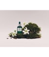Produktbild 2 von 4, The Body Shop Edelweiss Gesichtsserum
