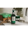 Produktbild 2 von 2, The Body Shop Edelweiss Gesichtspeeling