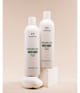 Produktbild 2 von 3, The Body Shop White Musk Bodylotion