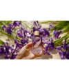 Produktbild 2 von 3, The Body Shop Full Eau de Parfum