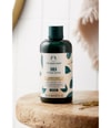 Produktbild 4 von 4, The Body Shop Shea Conditioner