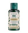 Produktbild 1 von 2, The Body Shop Ginger Conditioner