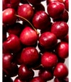 Zdjęcie produktu 3 z 4, The Body Shop Born Lippy Balsam do ust