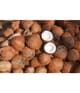 Produktbild 3 von 3, The Body Shop Coconut Körperbutter