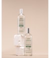 Produktbild 2 von 4, The Body Shop White Musk Körperspray