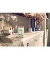 Produktbild 2 von 3, Yankee Candle Cucumber Mint Cooler Duftkerze