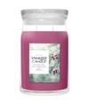 Zdjęcie produktu 1 z 4, Yankee Candle Sparkling Winterberry Świeca zapachowa