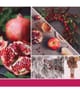 Image du produit 4 sur 4, Yankee Candle Sparkling Winterberry Bougie parfumée