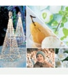 Produktbild 4 von 4, Yankee Candle Magical Bright Lights Duftkerze
