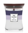 Image du produit 1 sur 2, WoodWick Evening Luxe Bougie parfumée