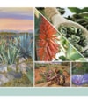 Produktbild 3 av 3, Yankee Candle Aloe & Agave Doftljus