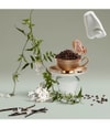 Produktbild 4 von 5, Penhaligon's The Bewitching Yasmine Eau de Parfum