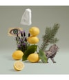 Produktbild 4 von 5, Penhaligon's Blenheim Bouquet Eau de Toilette