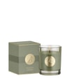 Produktbild 3 von 3, Penhaligon's Halfeti Duftkerze