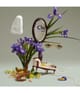 Produktbild 3 von 3, Penhaligon's The Favourite Eau de Parfum