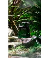Produktbild 4 von 6, ROJA Men‘s Collection Eau de Parfum
