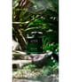 Produktbild 4 von 6, ROJA Men‘s Collection Eau de Parfum