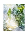 Produktbild 4 von 6, ROJA Isola Collection Parfum
