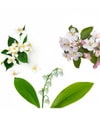 Productafbeelding 3 van 6, Color WOW Insta-Wow Droogshampoo