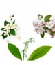 Productafbeelding 3 van 6, Color WOW Insta-Wow Droogshampoo