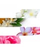 Produktbild 3 von 6, Color WOW Money Laundering Haarshampoo