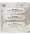 Image du produit 3 sur 6, Percy & Reed Strengthening Shampoing