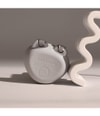 Produktbild 6 von 6, STYLPRO Dual Microcurrent Face & Body Massagegerät