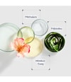 Produktbild 6 von 6, Gallinée Anti Blemish Vinegar Gelée Gesichtsserum