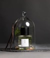 Produktbild 3 von 3, Sentier Oud Gaiac Parfum