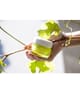 KORRES Santorini Grape Ansiktskräm 40 ml 5203069112430 pack-shot_se