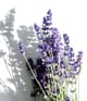 Productafbeelding 5 van 5, KORRES Relaxing lavender Lichaamsolie