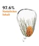 Produktbild 3 von 6, KORRES Black Pine Primus Gesichtsserum