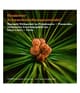 Produktbild 4 von 6, KORRES Black Pine Primus Gesichtsserum