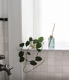 Productafbeelding 2 van 4, SKANDINAVISK ARKTIS Interieurparfum